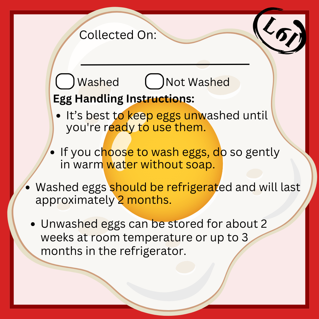 Egg handling instructions card with an egg illustration on a red background